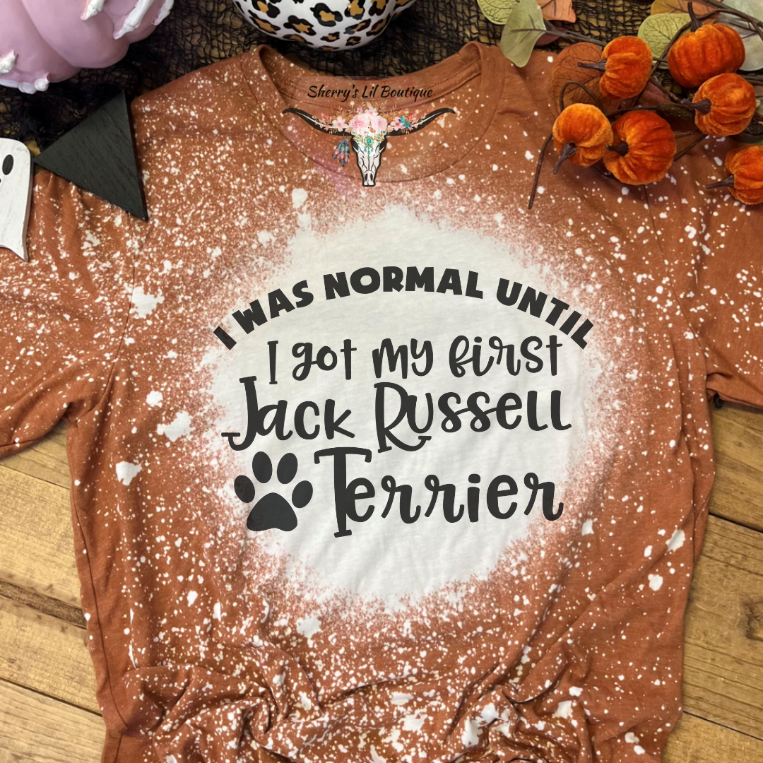 I Was Normal...Jack Russell