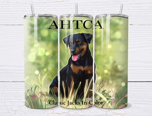 20oz AHTCA Graphic design tumbler 